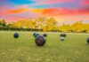 lawn bowls doesn’t claim to be in the same league as football or tennis, yet for decades it has maintained a stable core of dedicated fans worldwide.